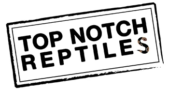 Reptiles Logo